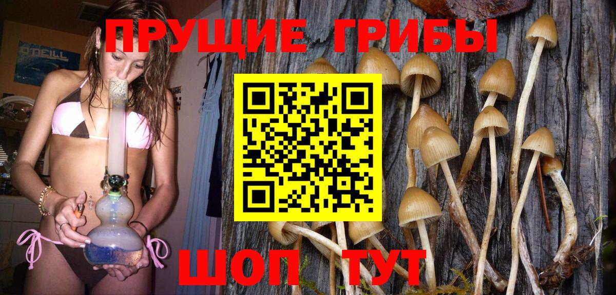 Галлюциногенные грибы Magic Shrooms Гудермес