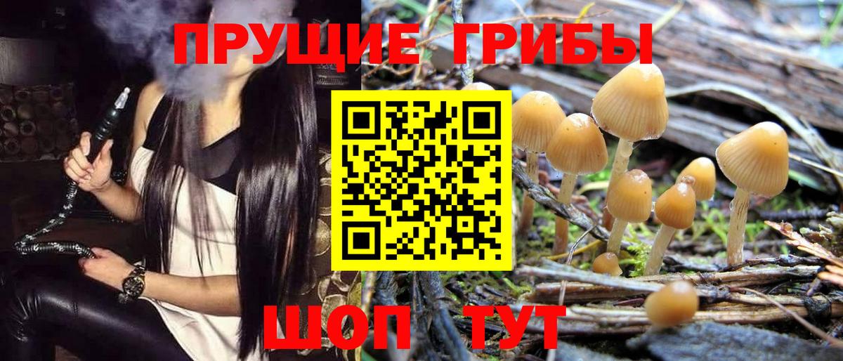Псилоцибиновые грибы MAGIC MUSHROOMS  Галлюциногенные грибы Magic Shrooms  Вход с VPN  магазин продажи   Гудермес 